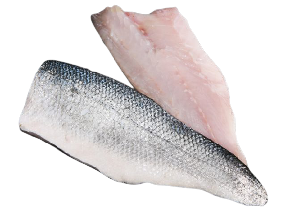 Hake_Fillets