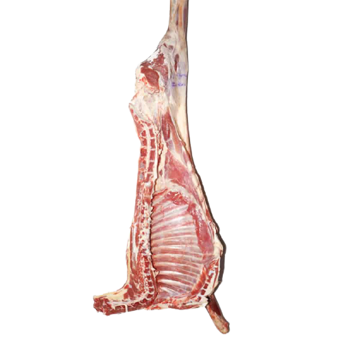 Half Lamb