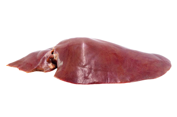 Ox Liver