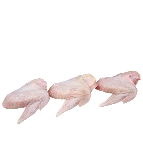 Wings Chicken